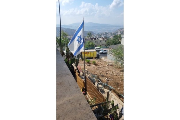 אלכס הובלות