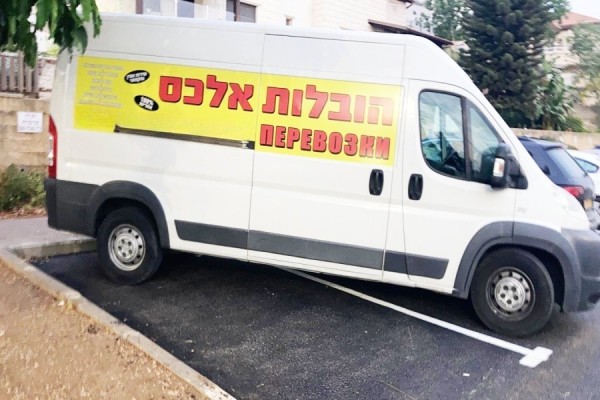 אלכס הובלות